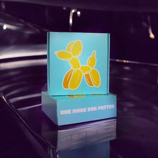 LA BOX KOONS (EDITION LIMITÉE)